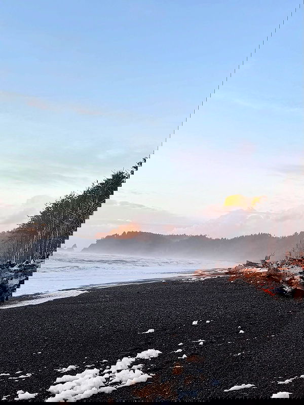 taylor.creeden taylor.creeden archive image