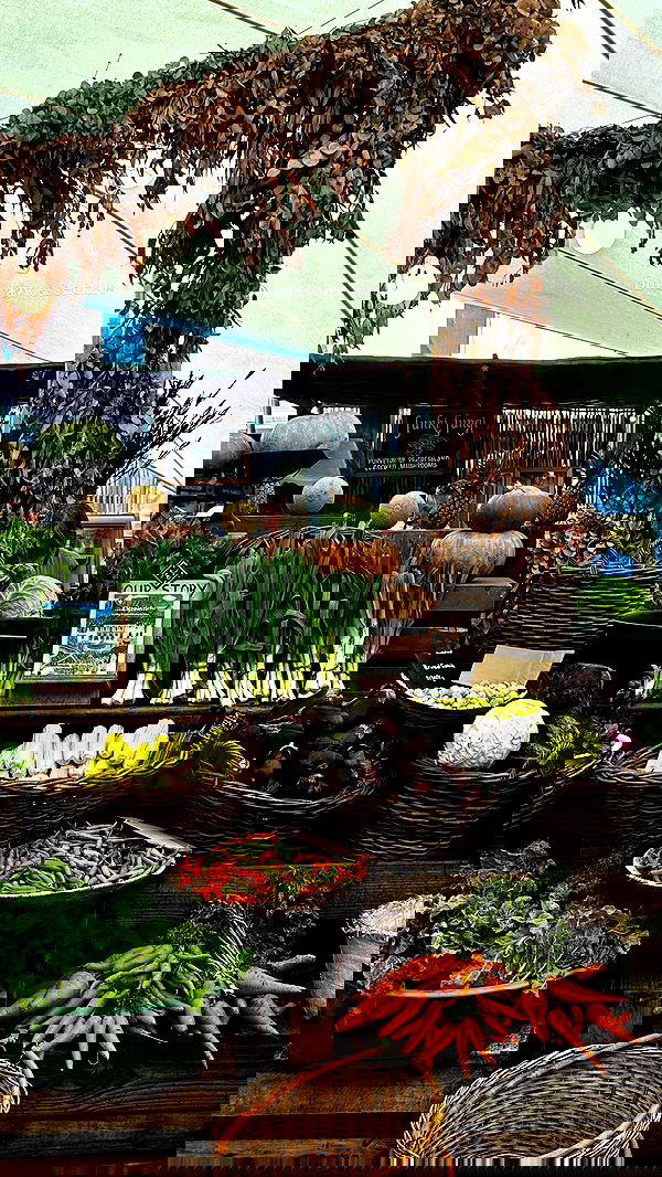 taylor.creeden taylor.creeden archive image