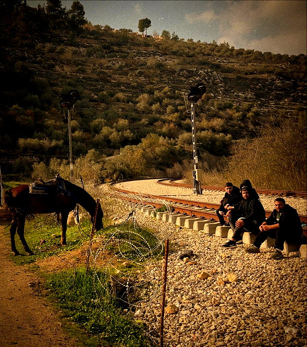 _femalien instagram image archive image