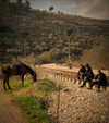 _femalien Altpins Profile Picture