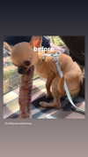 babynympho_archive Altpins Profile Picture