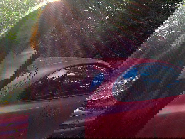 veiyul veiyul archive image