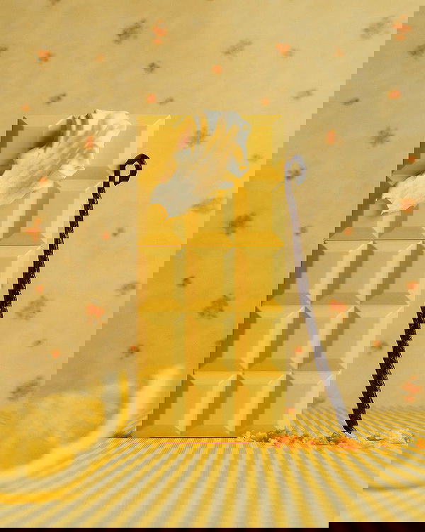 sabrinacarpenter sabrinacarpenter archive image