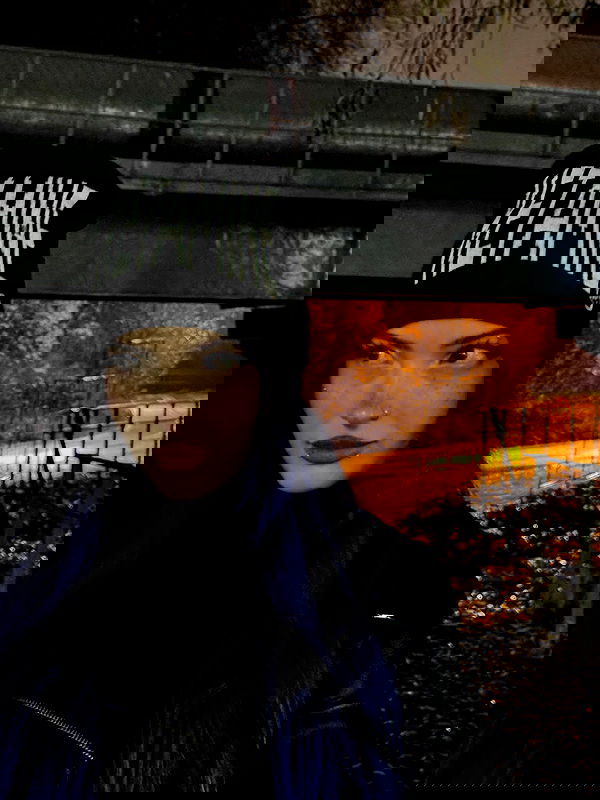 annfigmax image ~ Altpins