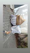 alma.almog Altpins Profile Picture