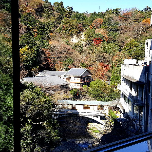 muze instagram image archive image