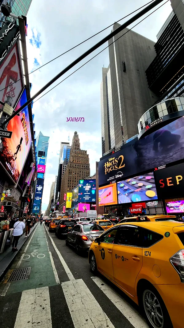 barzomer instagram image archive image