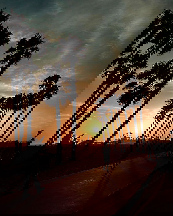 itshayleydavies itshayleydavies archive image