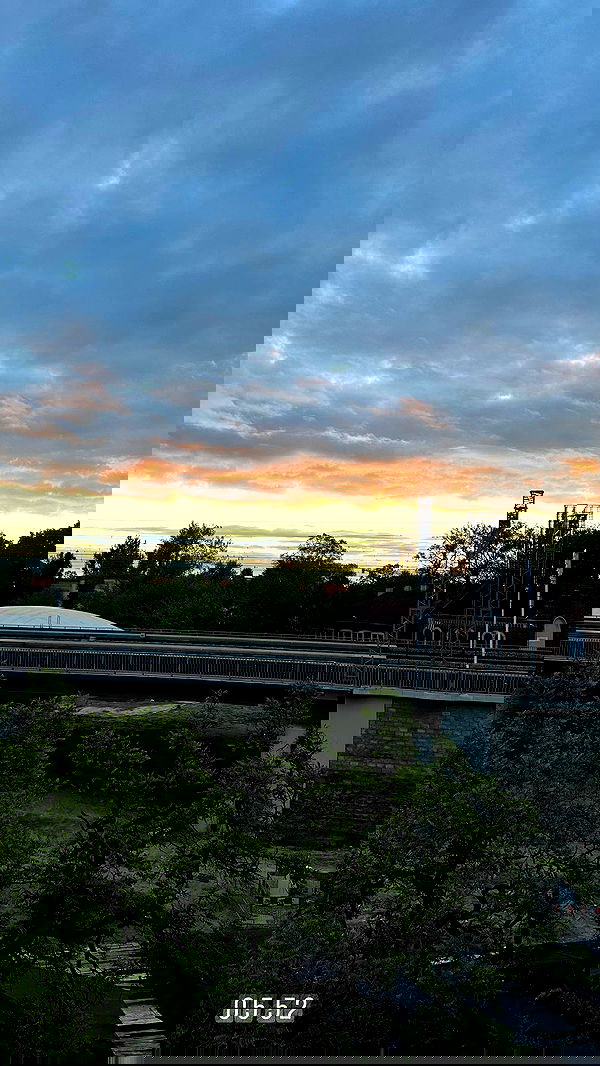 mishel116 mishel116 archive image