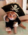 catl0verr69 Altpins Profile Picture