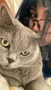 romxcohen Altpins Profile Picture