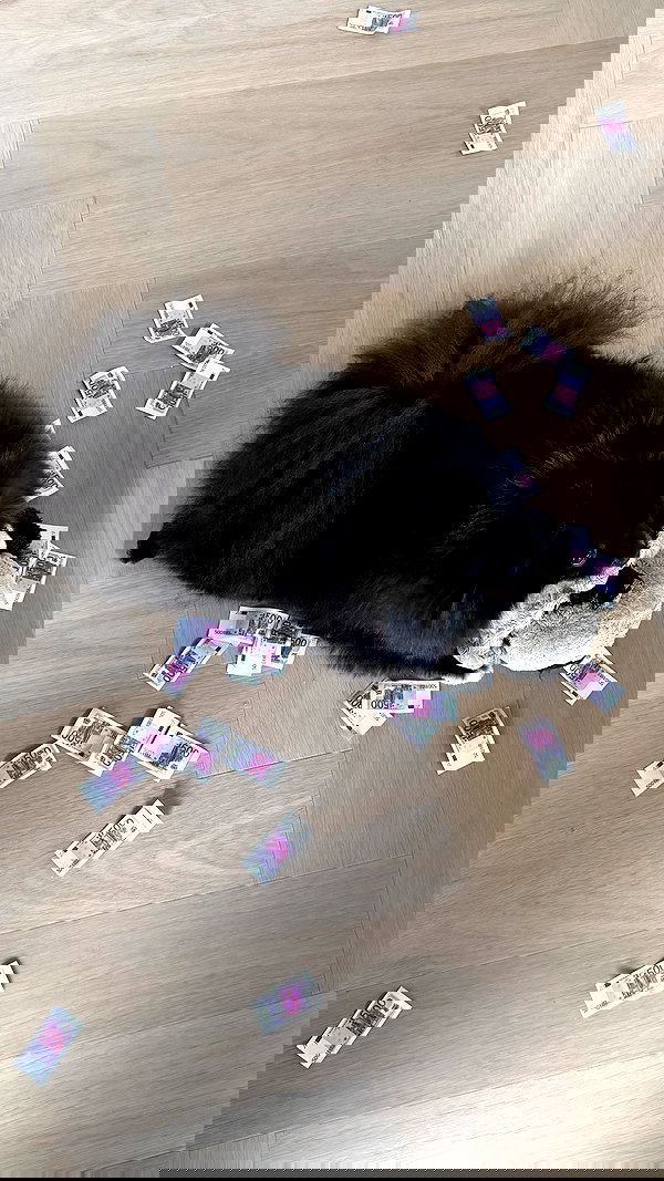 katrina.zaiceva katrina.zaiceva archive image