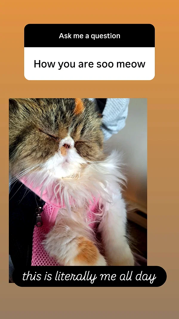mirekyarahire instagram image archive image