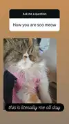 mirekyarahire Altpins Profile Picture