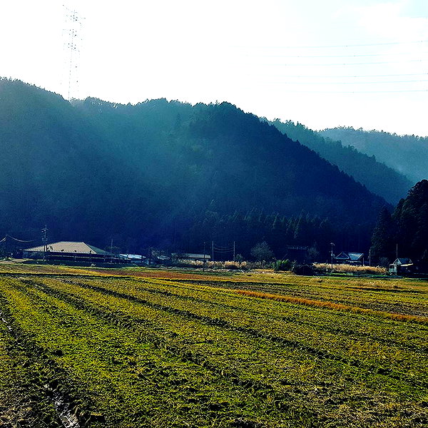 muze instagram image archive image