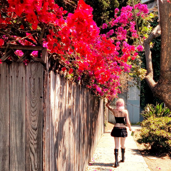 haileylayfield instagram image archive image