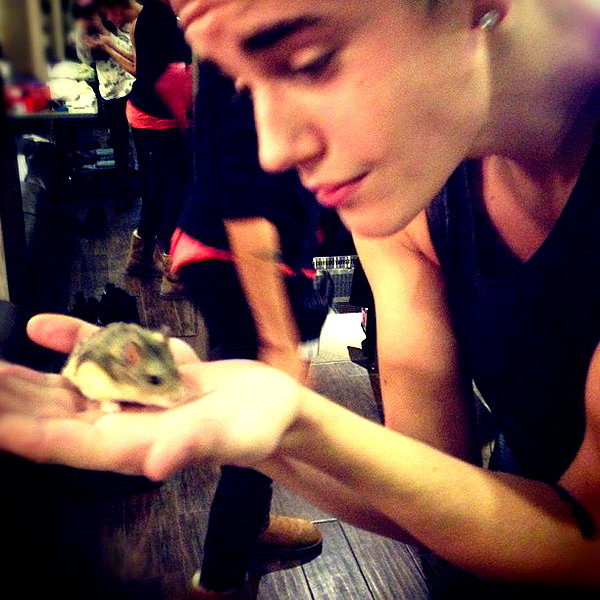 lilbieber instagram image archive image