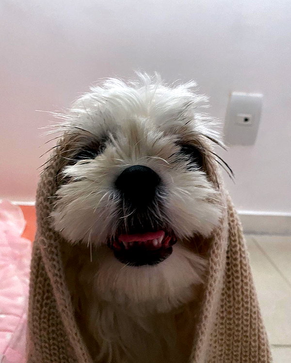 gabimfmoura instagram image archive image