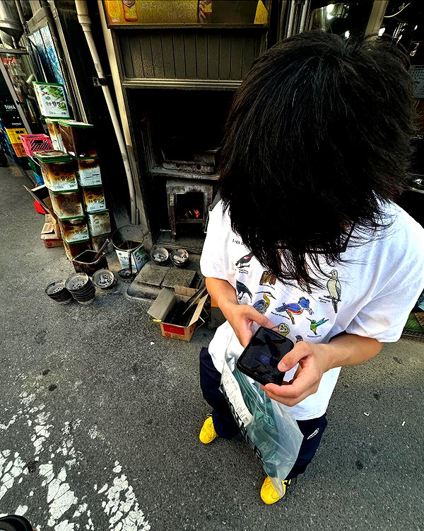 lollinski instagram image archive image