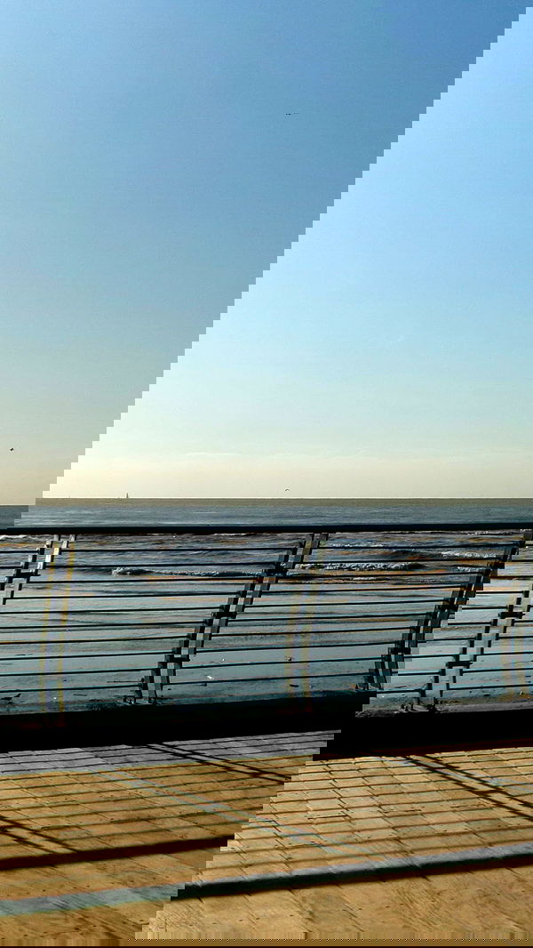 yeela__ yeela__ archive image