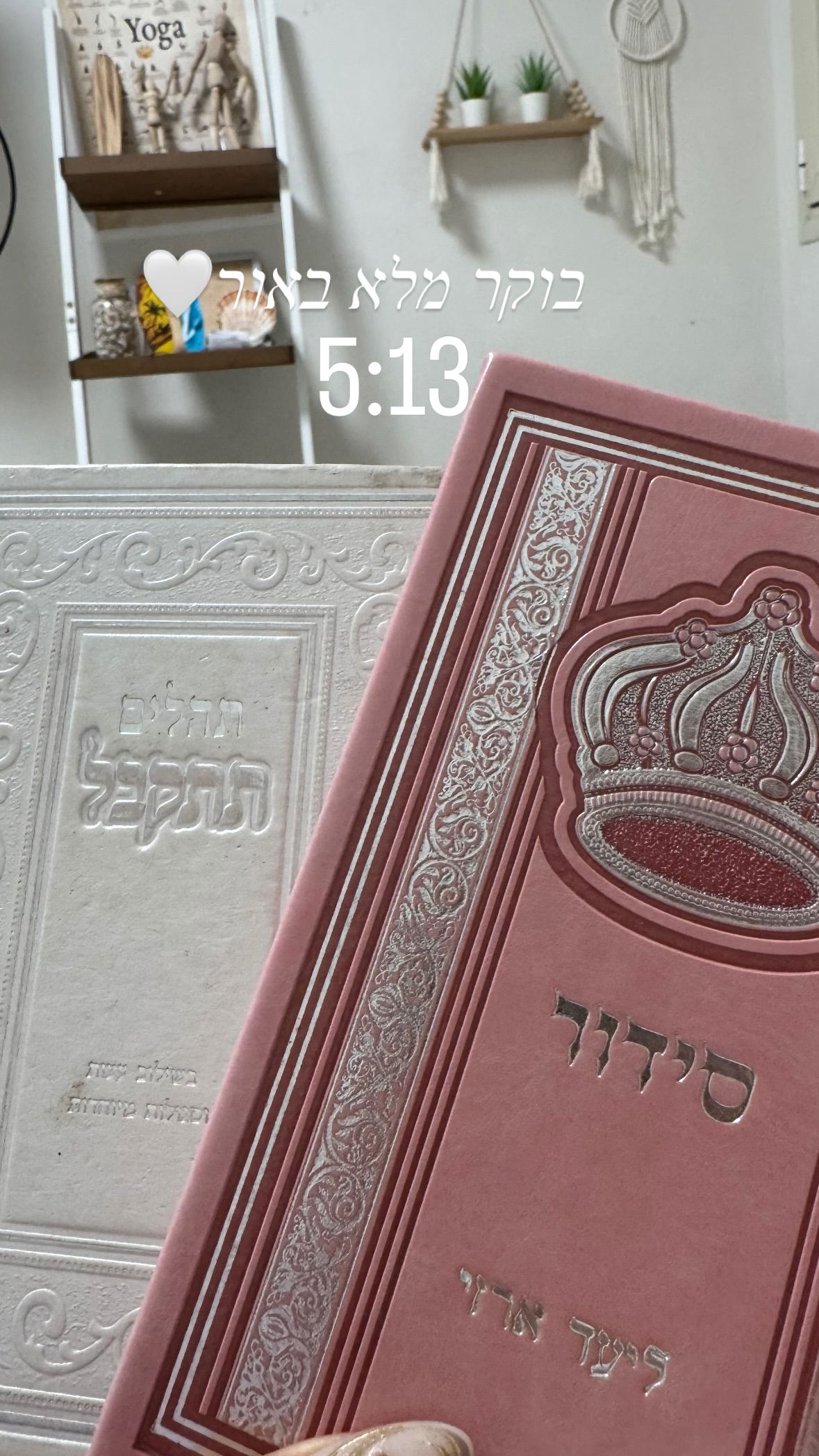 liad.arazi instagram image archive image