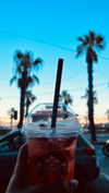 annabottoo Altpins Profile Picture