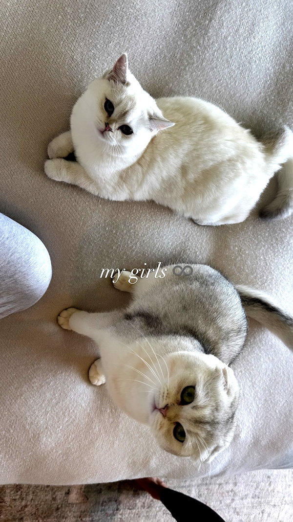 kyliejenner kyliejenner archive image