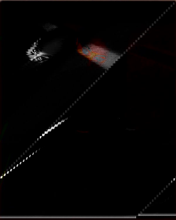 kkulakovaa image ~ Altpins