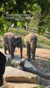 saracrumbleleg Altpins Profile Picture
