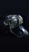 rchhhll Altpins Profile Picture