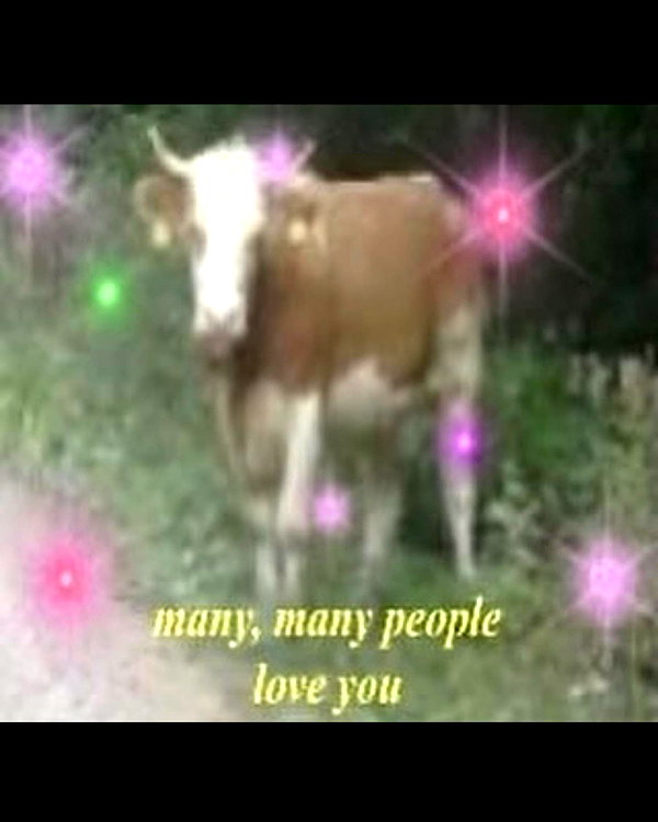 leanbeefpatty instagram image archive image