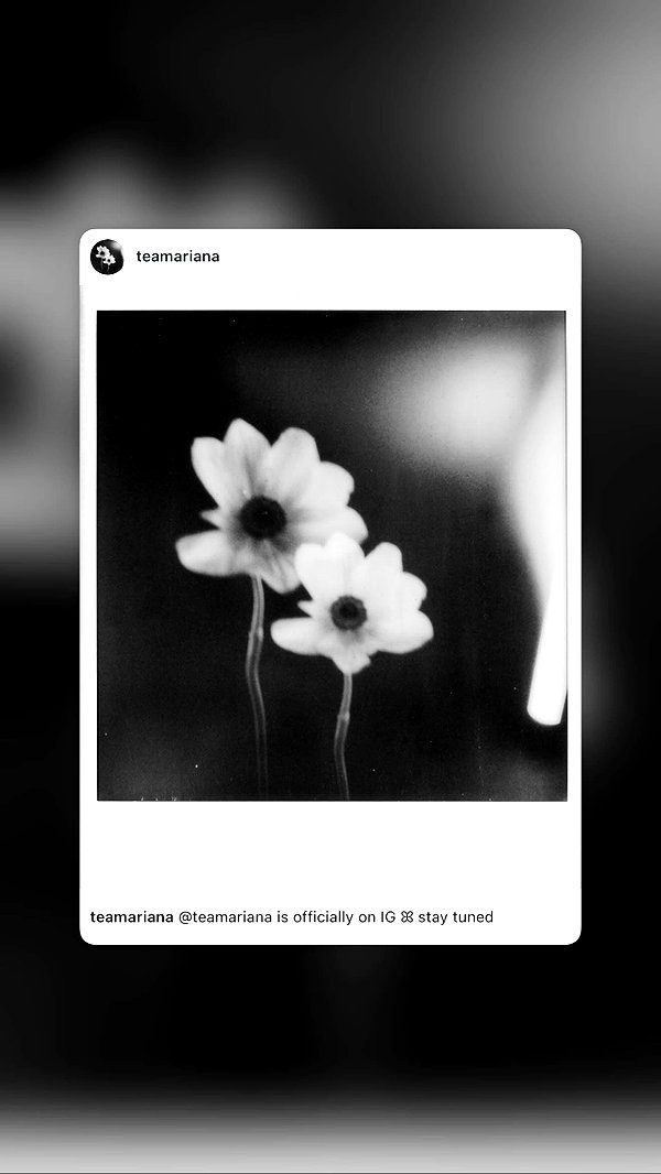 arianagrande instagram image archive image