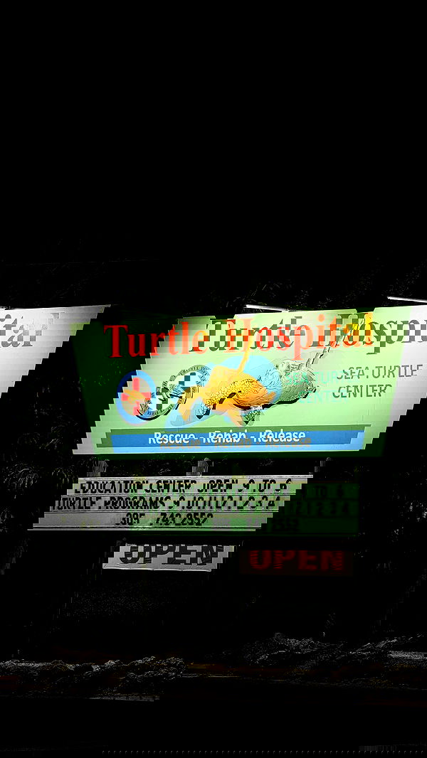 miakhalifa miakhalifa archive image