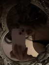 miumiustargirl Altpins Profile Picture