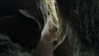 vvelum_ Altpins Profile Picture
