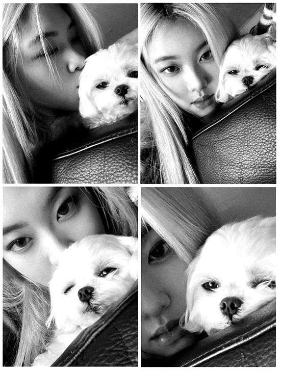 allissashin instagram image archive image