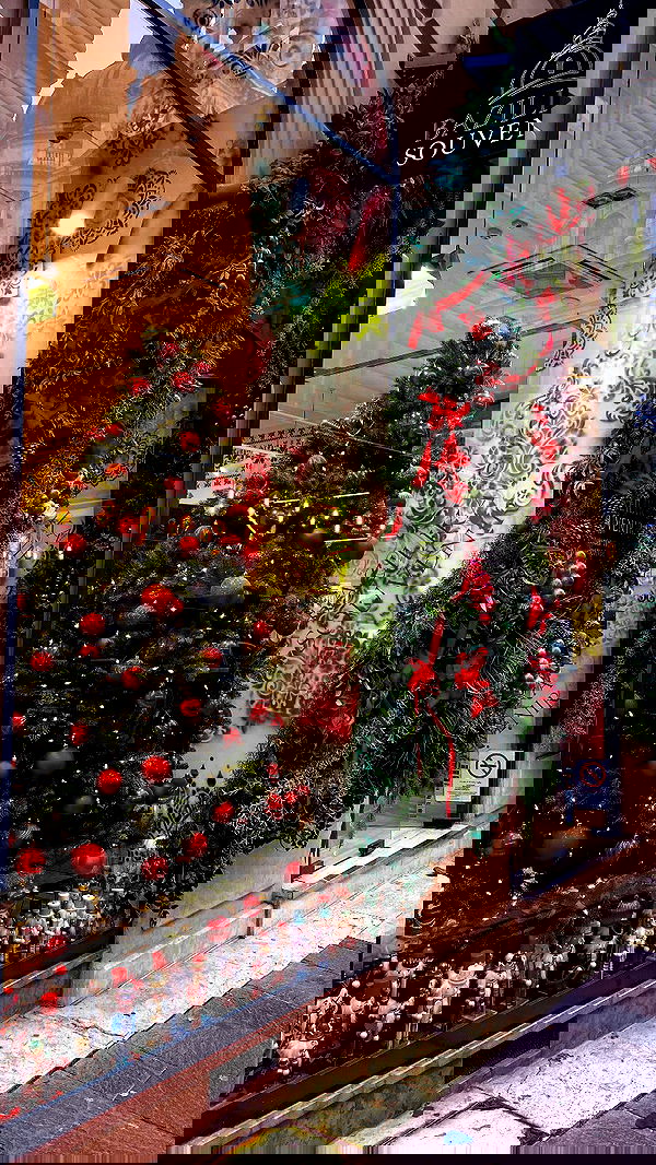 shanidahan7 image ~ Altpins