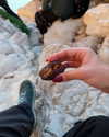 mishel_d_ Altpins Profile Picture