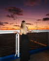 kimberlyy.lynnn Altpins Profile Picture
