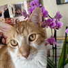ohheyanastasia Altpins Profile Picture