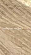carmaxlla Altpins Profile Picture