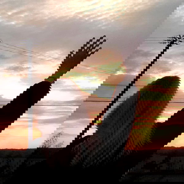 annfigmax image ~ Altpins