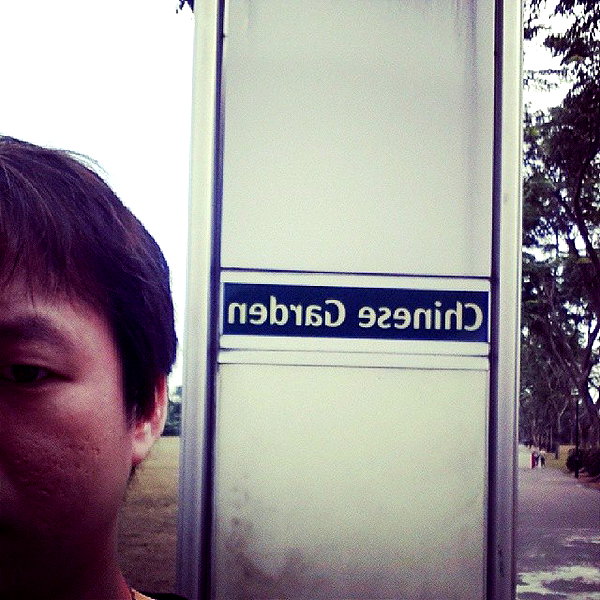 muze instagram image archive image