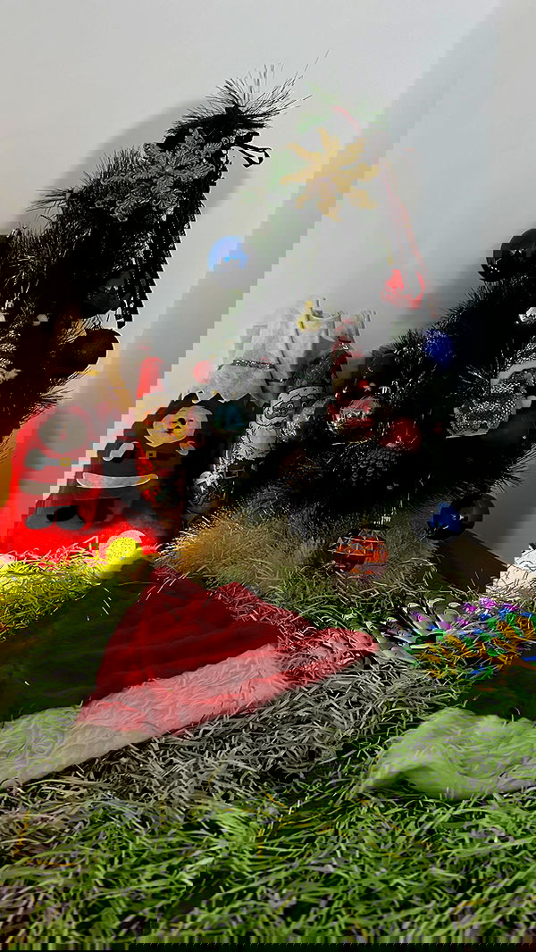 mishel116 mishel116 archive image