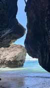 daisy_r_19 Altpins Profile Picture
