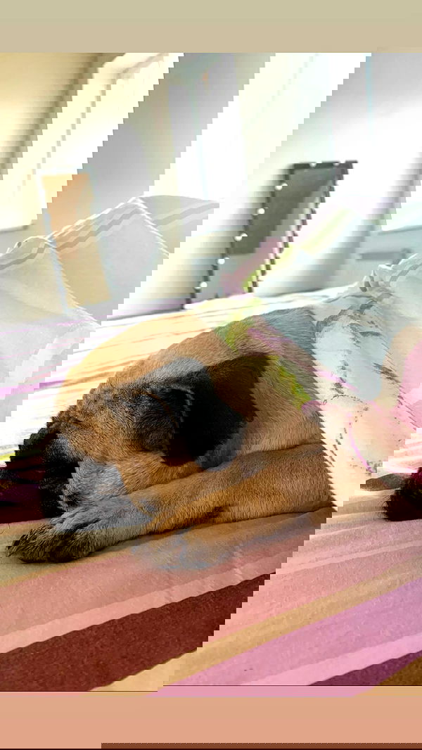 nyityam nyityam archive image