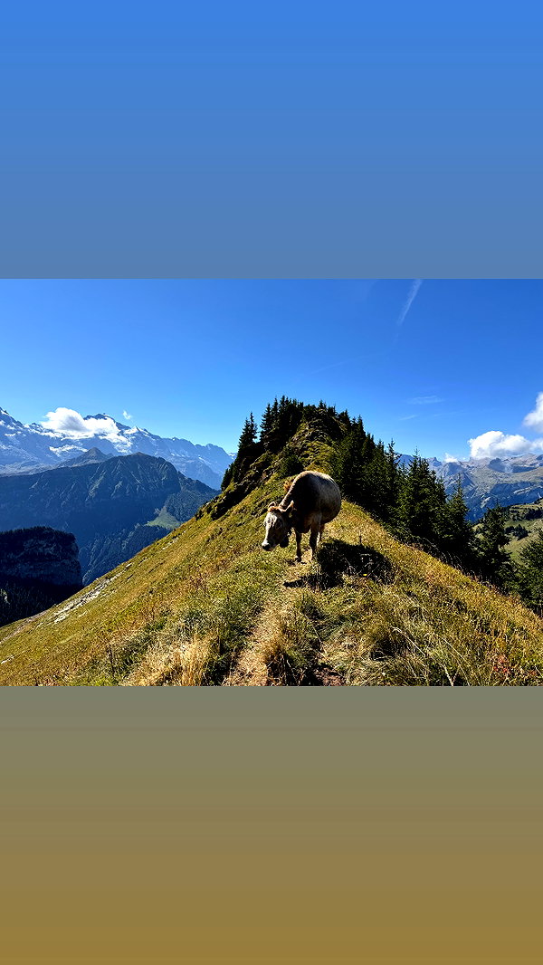 sullivang_ instagram image archive image