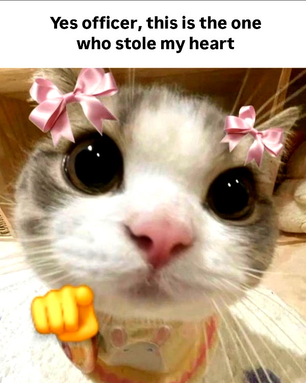 milkiwifey instagram image archive image