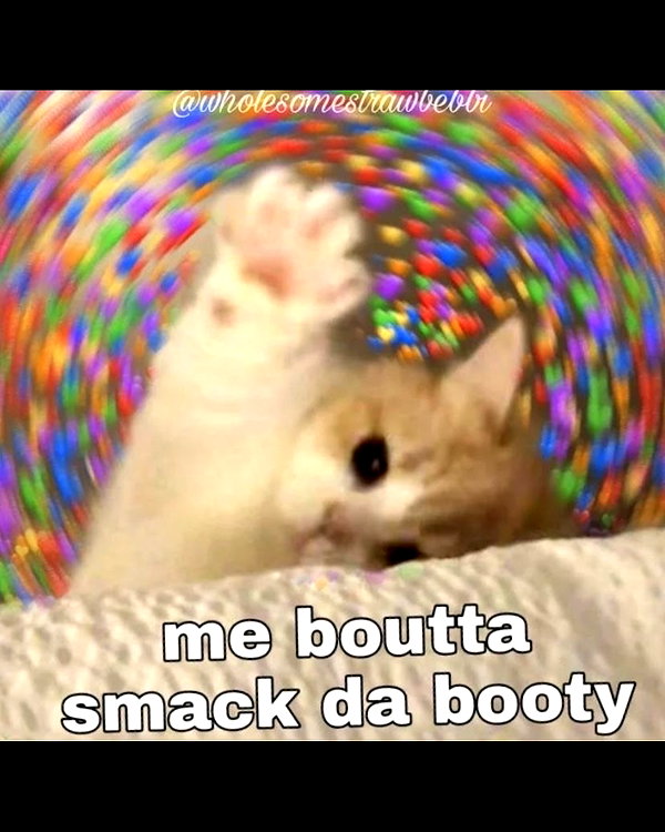 milkiwifey instagram image archive image