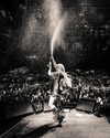 avrillavigne Altpins Profile Picture